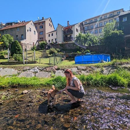 דירות סבניץ Urlaubstraum Mit Pool, Terrasse & Fluss Im Garten - Ut מראה חיצוני תמונה